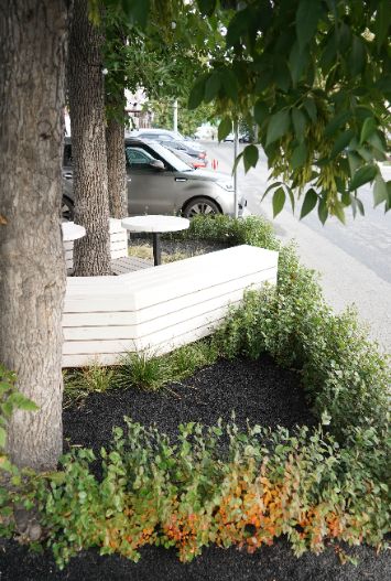 Оформление ландшафта в городе