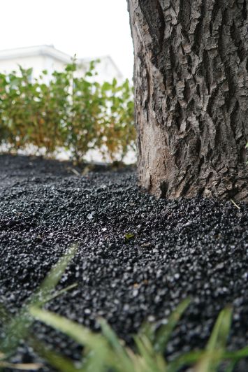 Отсыпка и мульчирование деревьев