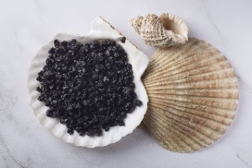 Аквагрунт в декоре