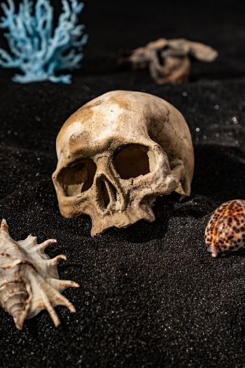 Грунт аквариумный