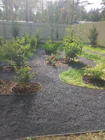 Тропиночная сеть в ландшафте