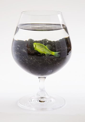 Чёрная подложка для аквариума